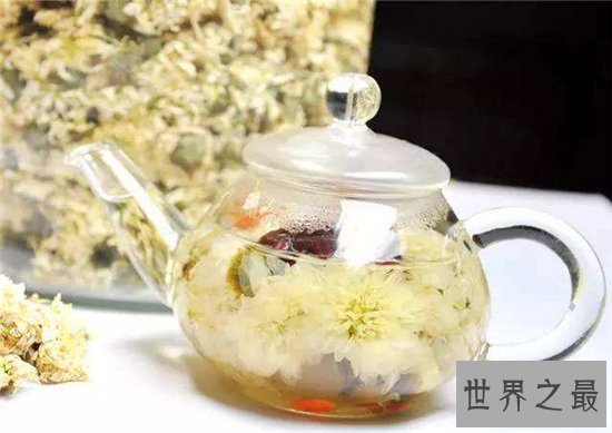 白菊花茶的功效与作用,败火降暑是大家熟知的功效