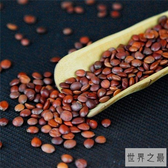 酸枣仁的副作用,易过敏体质的人最好不要吃