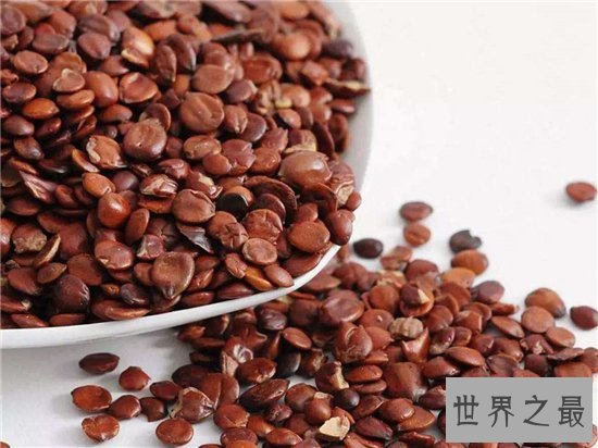 酸枣仁的副作用,易过敏体质的人最好不要吃