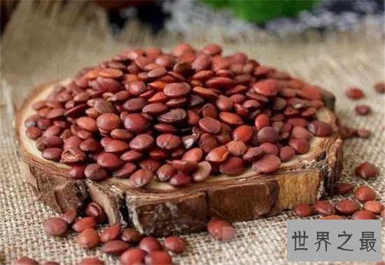 酸枣仁的副作用,易过敏体质的人最好不要吃