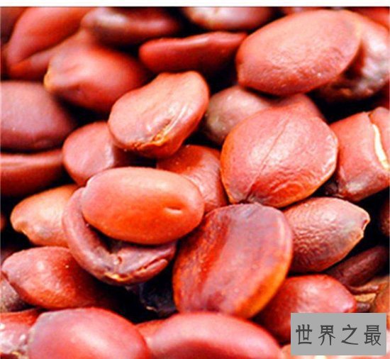 酸枣仁的副作用,易过敏体质的人最好不要吃