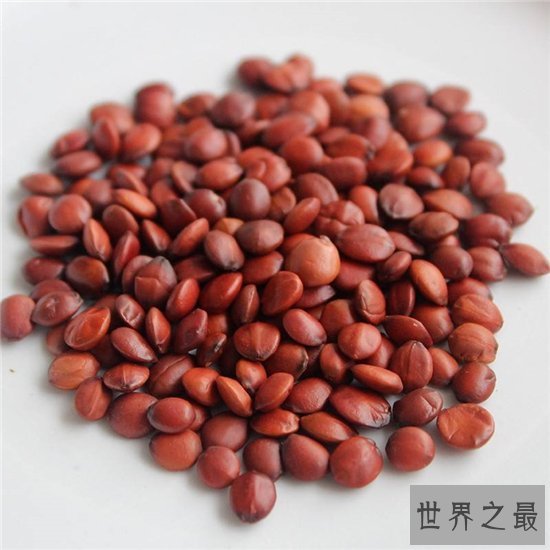 酸枣仁的副作用,易过敏体质的人最好不要吃