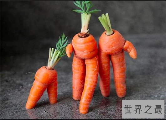最重胡萝卜,胡萝卜的重量快和人一样了