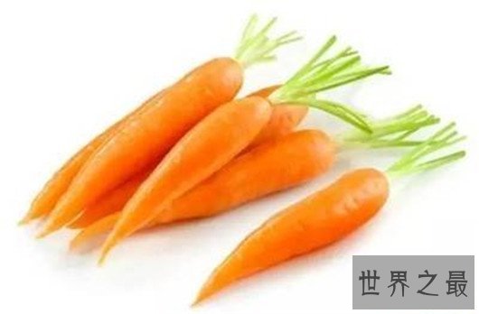 最重胡萝卜,胡萝卜的重量快和人一样了