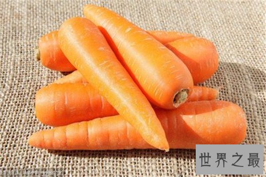 最重胡萝卜,胡萝卜的重量快和人一样了