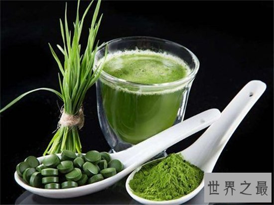 螺旋藻的吃法有哪些?不同吃法功效都相同