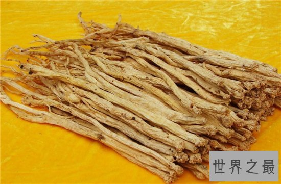 党参的功效与作用是什么?它是一种带有乳汁的中药