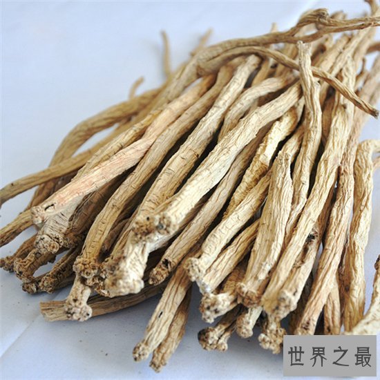 党参的功效与作用是什么?它是一种带有乳汁的中药