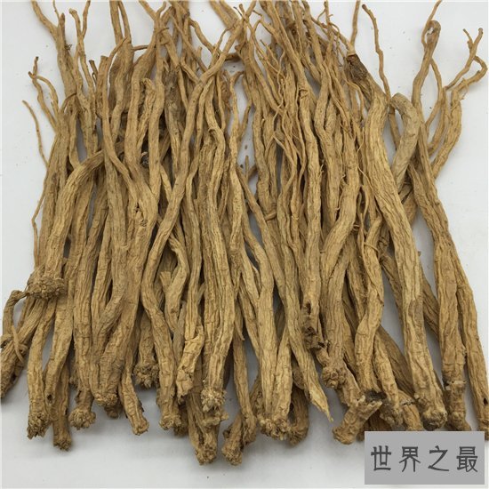 党参的功效与作用是什么?它是一种带有乳汁的中药