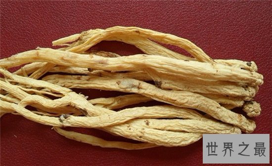 党参的功效与作用是什么?它是一种带有乳汁的中药