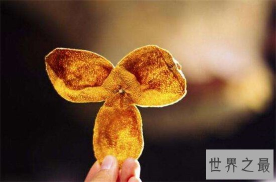 陈皮的功效与作用是什么?阴虚体质者不能多食