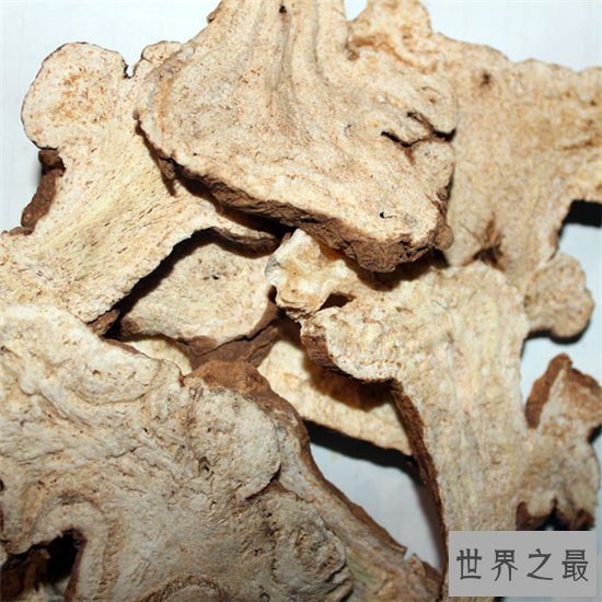 白术的功效与作用是什么?补气健脾还能去水肿