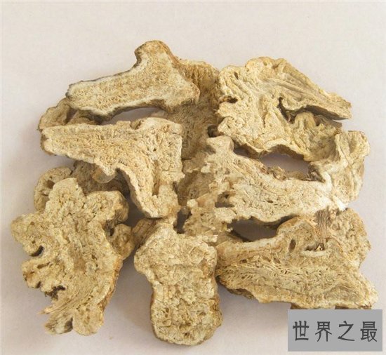白术的功效与作用是什么?补气健脾还能去水肿