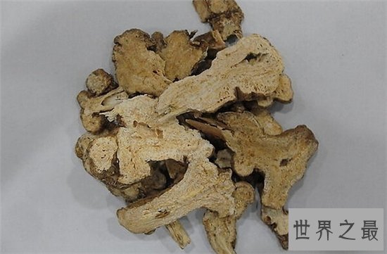 白术的功效与作用是什么?补气健脾还能去水肿