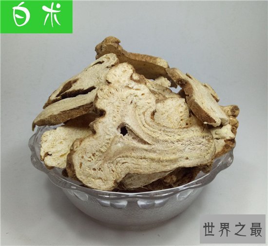 白术的功效与作用是什么?补气健脾还能去水肿