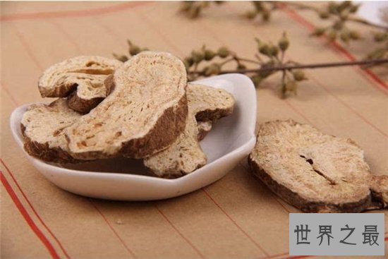 白术的功效与作用是什么?补气健脾还能去水肿