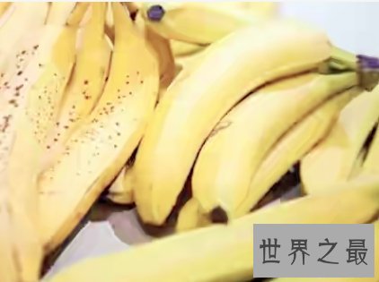 世界上最大的香蕉,一个人根本不够吃。
