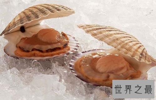 十大有益头发健康的食物,让你的头发更健康!