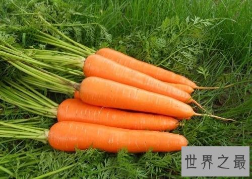 十大有益头发健康的食物,让你的头发更健康!