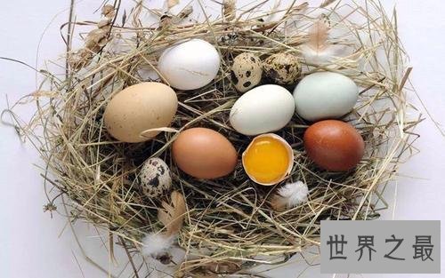 十大有益头发健康的食物,让你的头发更健康!