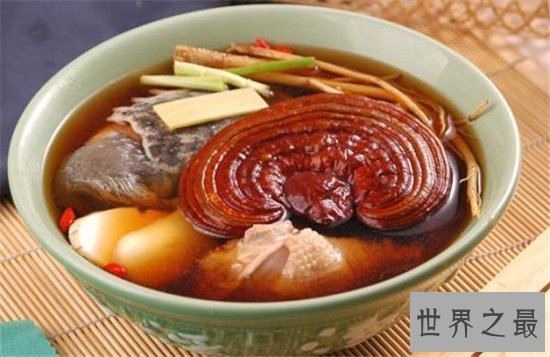 世界上最大的灵芝,江西萍乡巨型灵芝重达55.5公斤!