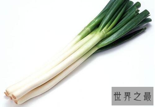 世界上最高的葱,2.51米比姚明都高!