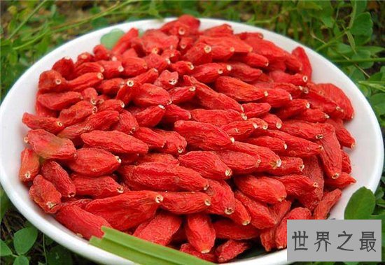 枸杞的作用与功效,喝枸杞酒能改善血气和明目