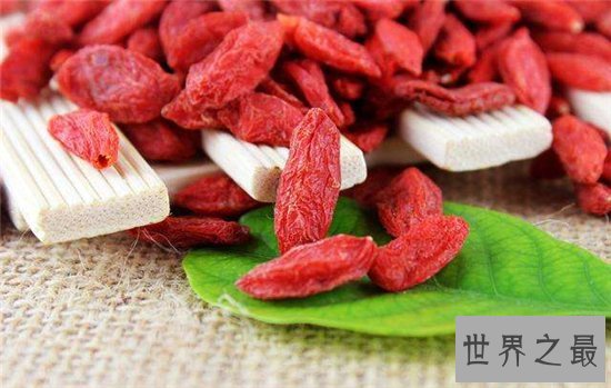 枸杞的作用与功效,喝枸杞酒能改善血气和明目