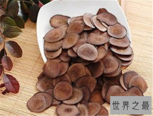 中国十大珍贵药材,个个都是救命的良药