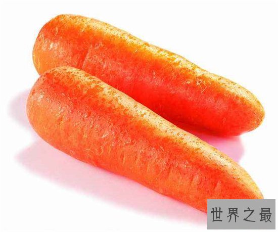 胡萝卜的功效与作用,胡萝卜竟然还有这样的好处!
