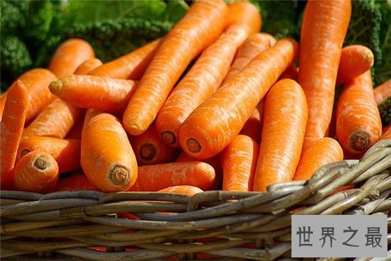 胡萝卜的功效与作用,胡萝卜竟然还有这样的好处!