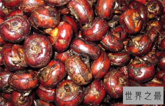 荸荠的功效与作用,放水中浸泡可保证其新鲜度