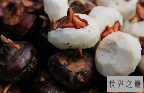 荸荠的功效与作用,放水中浸泡可保证其新鲜度