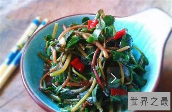 马齿苋怎么吃?具有清热解毒助消化的效果