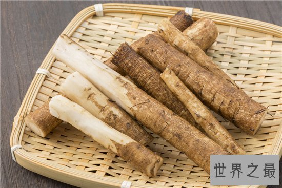 牛蒡怎么吃?要与热性食物一同制作