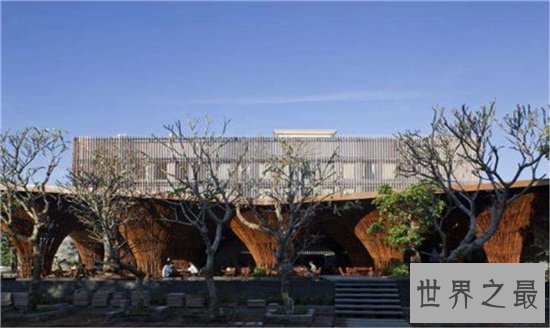 世界十大咖啡生产国,巴西仍旧占据世界第一!