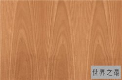 中国十大名贵木材，第一被称作木材中的黄金！