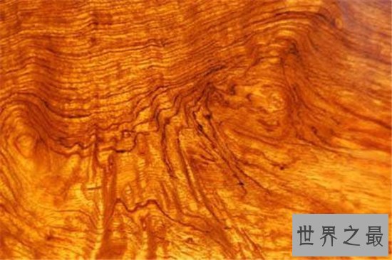 中国十大名贵木材,第一被称作木材中的黄金!