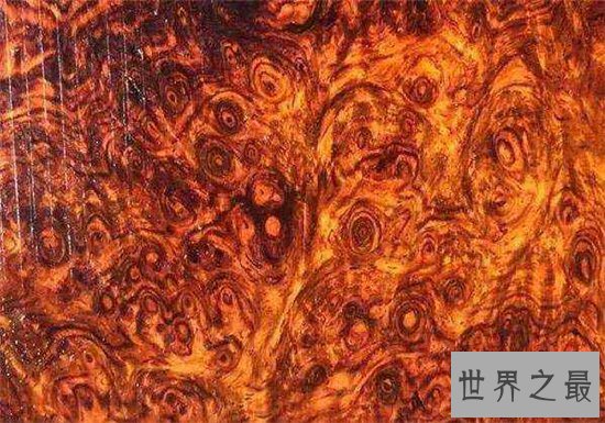 中国十大名贵木材,第一被称作木材中的黄金!