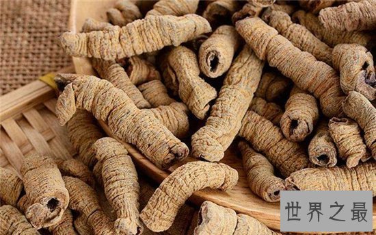 巴戟天的功效与作用及食用方法,近年来价格上涨不少