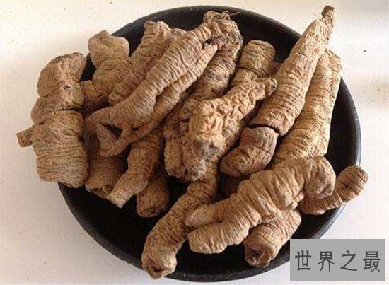 巴戟天的功效与作用及食用方法,近年来价格上涨不少