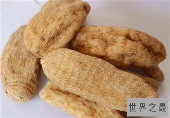 10种最受欢迎的草药,鹿茸除了壮阳竟然还有其他隐藏效果!