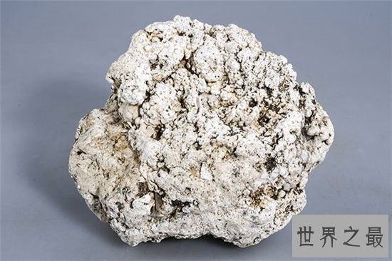 10种最受欢迎的草药,鹿茸除了壮阳竟然还有其他隐藏效果!