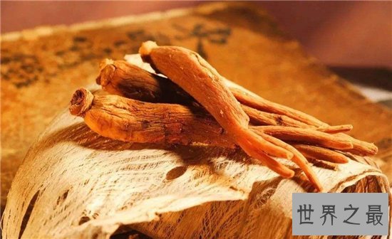 10种最受欢迎的草药,鹿茸除了壮阳竟然还有其他隐藏效果!