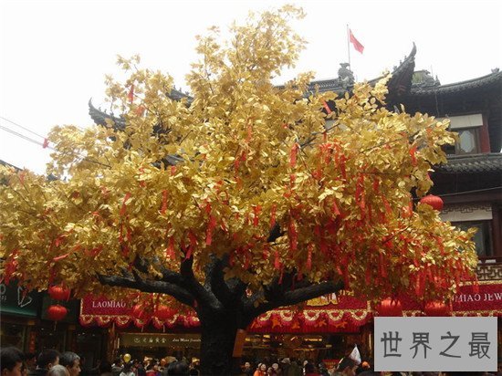 世界十大最奇特的树,含金树真的有金子吗?
