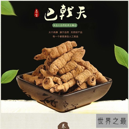 巴戟天的功效与作用及食用方法,巴戟天的禁忌介绍
