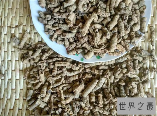 巴戟天的功效与作用及食用方法,巴戟天的禁忌介绍