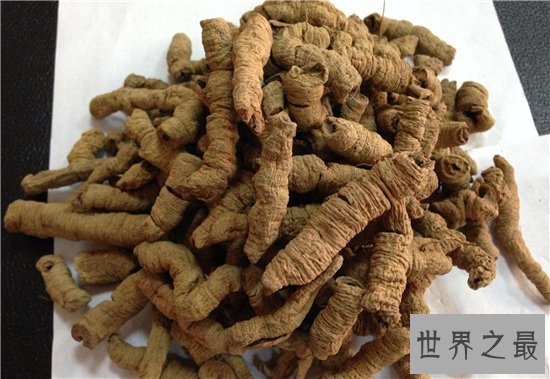 巴戟天的功效与作用及食用方法,巴戟天的禁忌介绍