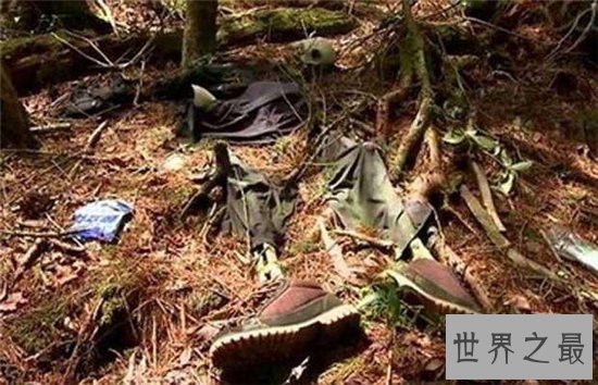 吃人植物生存在热带地区，分泌消化酶对人类造成威胁