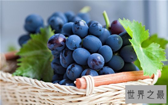 十大冬季养生水果排行榜,苹果的养生效果竟然这么好!